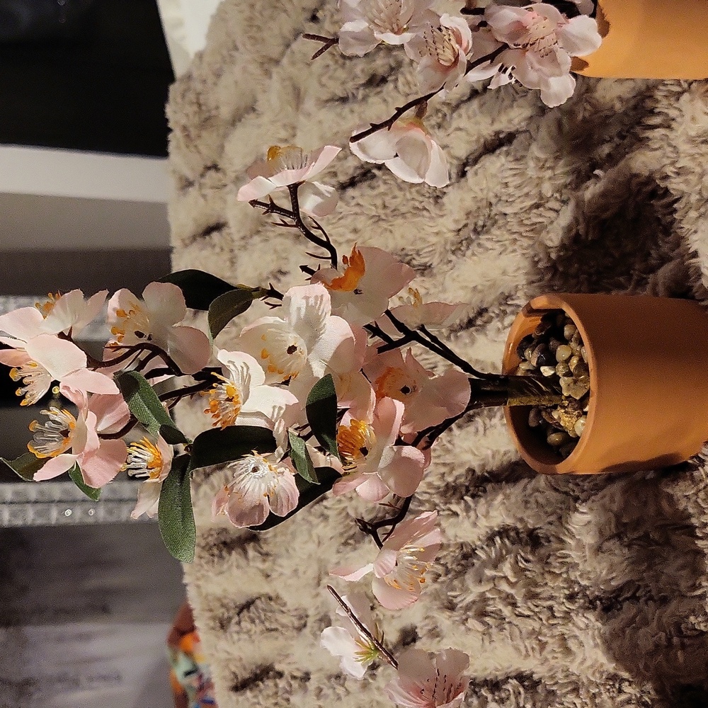 Pretty Cherry Blossom Tree Set | Artificial In A Ceramic Terracotta Vase🌸 - Picture 4 of 6
